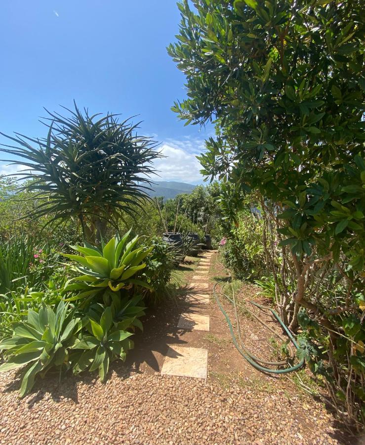Round The Bend Apartment Wilderness Bagian luar foto