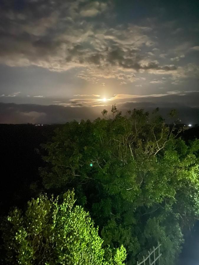 Round The Bend Apartment Wilderness Bagian luar foto